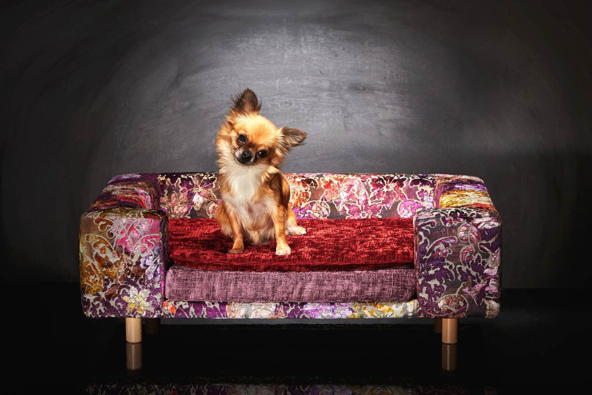 Designer Dog beds Le Couture Antique Rose S Sabanah chihuahua sofa