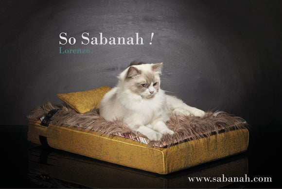 Lit chat de luxe S Inuit Sabanah jaune soleil d'éte