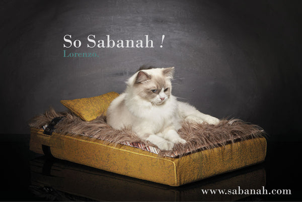 Lit chat de luxe S Inuit Sabanah jaune soleil d'éte