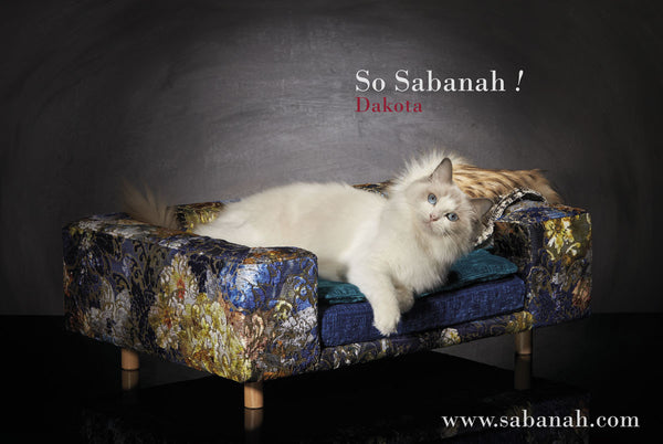 Canapé de luxe pour chat Sabanah S velours damassé bleu cobalt 