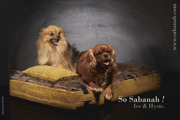 Lit chien luxe Sabanah Inuit M Jaune soleil d'été