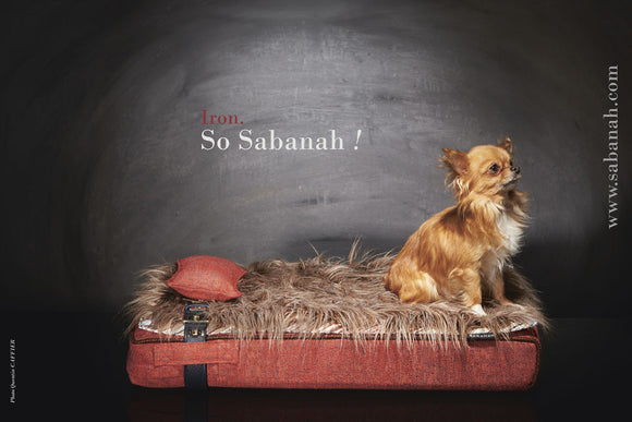 Petit lit pour Chihuahua, Sabanah Inuit S rouge feu et ses accessoires