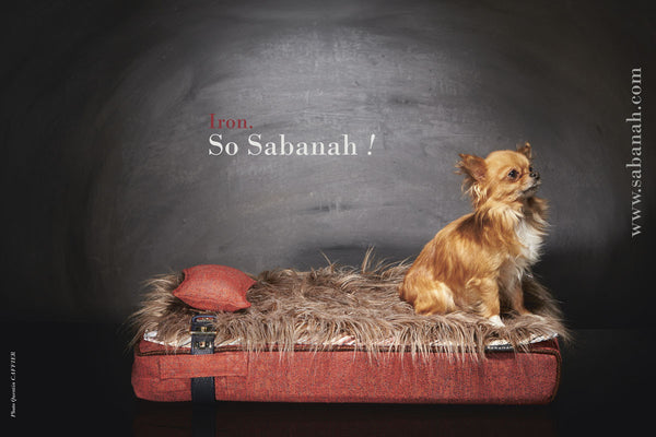 Petit lit pour Chihuahua, Sabanah Inuit S rouge feu et ses accessoires