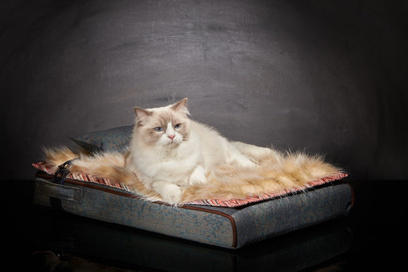 Lit chat de luxe S Inuit Bleu Océan  Sabanah 