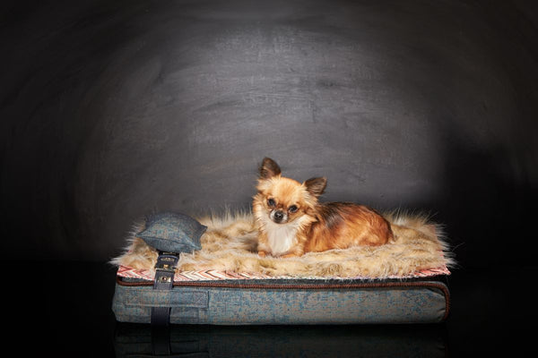 Lit Chihuaha Sabanah Inuit taille S et ses accessoires