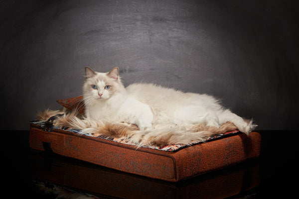 Lit pour chat de luxe Inuit S Orange Automne Sabanah