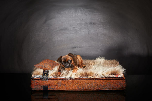 Lit petit chien Inuit S avec couverture fausse fourrure imperméable