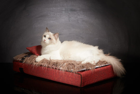 Lit pour chat de luxe Inuit S rouge feu Sabanah 