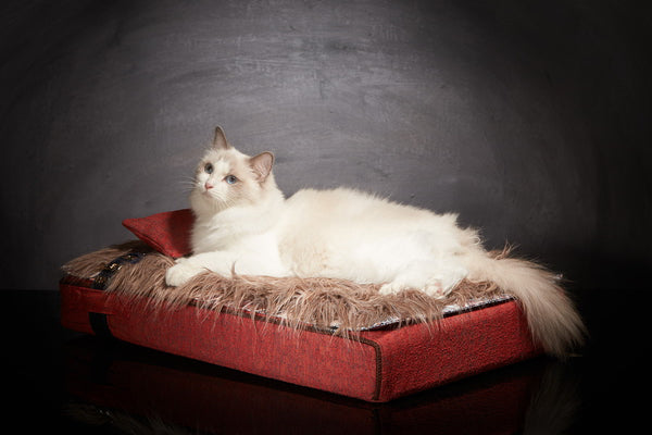 Lit pour chat de luxe Inuit S rouge feu Sabanah 