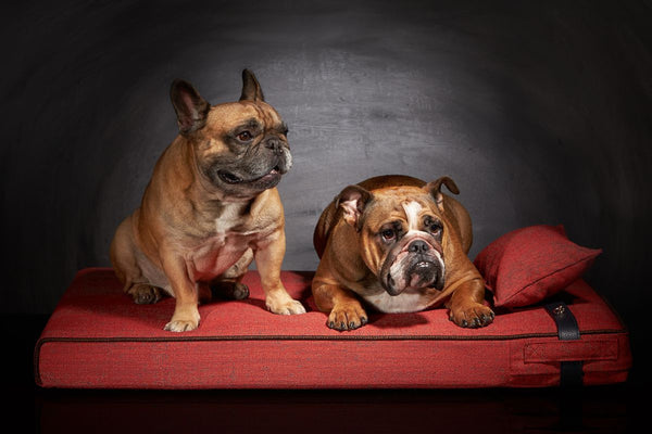 Lit pour grand chien Inuit L Rouge feu