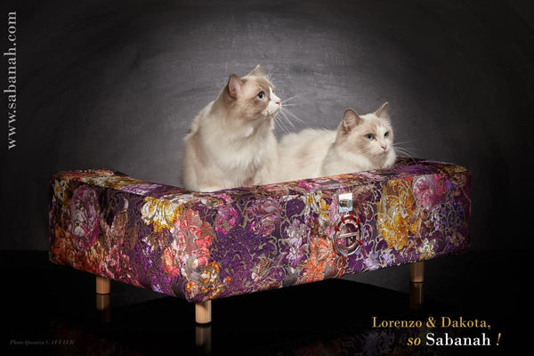 Canapé de luxe Sabanah pour chat tissu Designes Guild