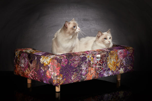 Canapé chat contemporain S rose antique