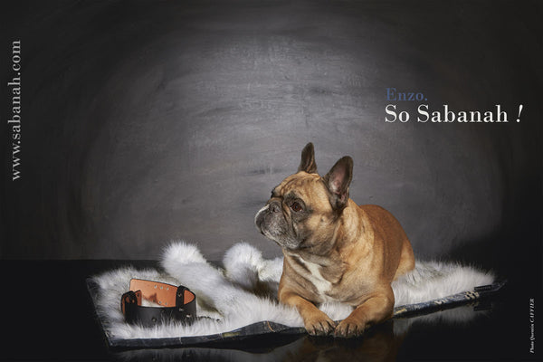 Couverture de luxe chien M Sabanah Metis Blue Ice