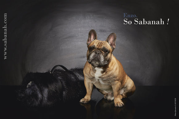 Couverture de luxe pour Bouledoque Français Sabanah taille L