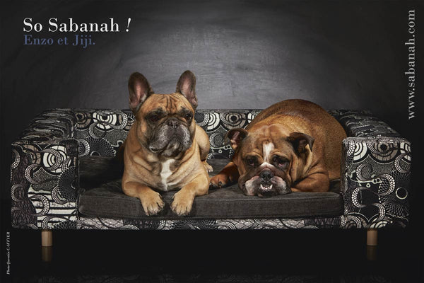 Canape pour grand chien design taille L sabanah