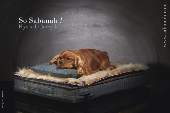 Lit pour Cavalier king Charles Sabanah Inuit M Bleu Océan