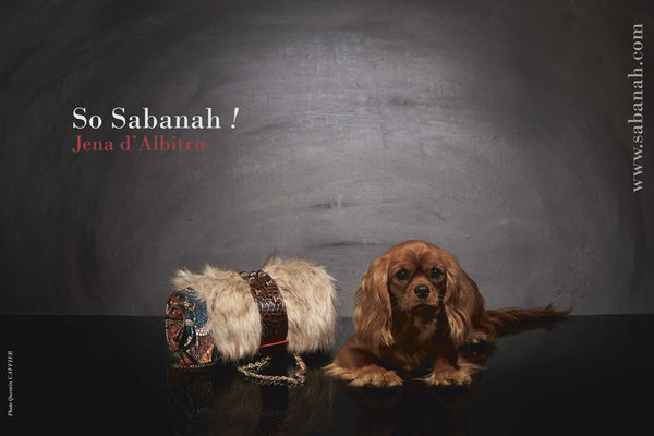 Plaid pour chien de luxe Cavalier King Charles et manchette de transport