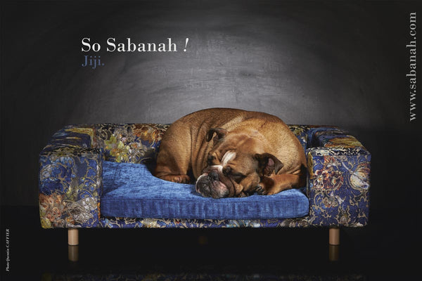 Canapé de luxe bouledogue Sabanah Le couture Palace taille M bleu cobalt