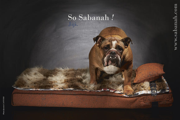 Lit pour chien de luxe Sabanah Inuit taille L Orange Automne