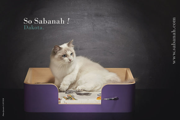 Panier pour chats design Sabanah taille S Le Drôle de Panier