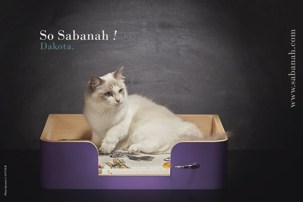 Panier pour chats design Sabanah taille S Le Drôle de Panier