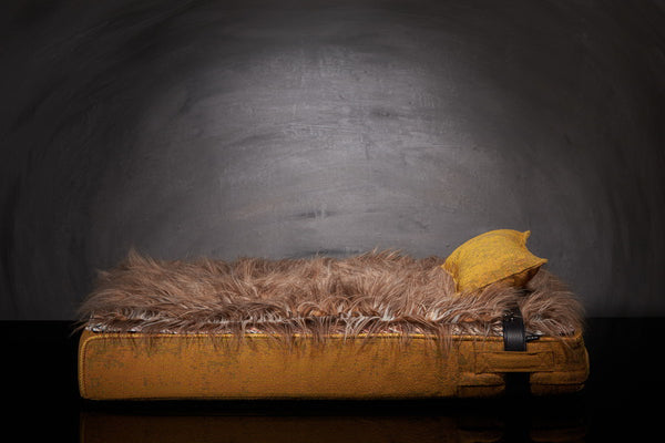 Lit luxe pour chat Inuit S dehoussable avec couverture 