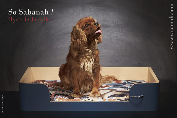 Panier pour chien de luxe Bleu Nuit M Sabanah "Drôle de Panier"