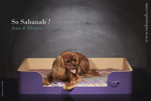 Panier pour chien design Sabanah M Cavalier King Charles